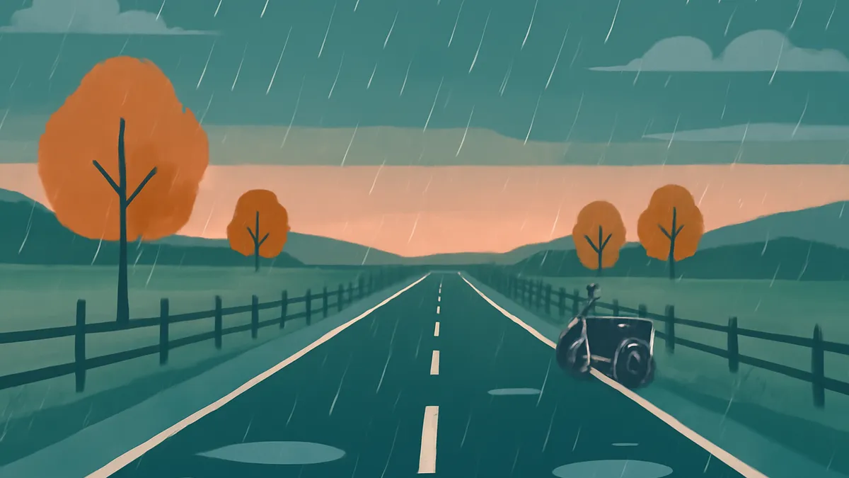 A two-lane road with a fence on either side, leading into the distance under a rainy sky with orange trees