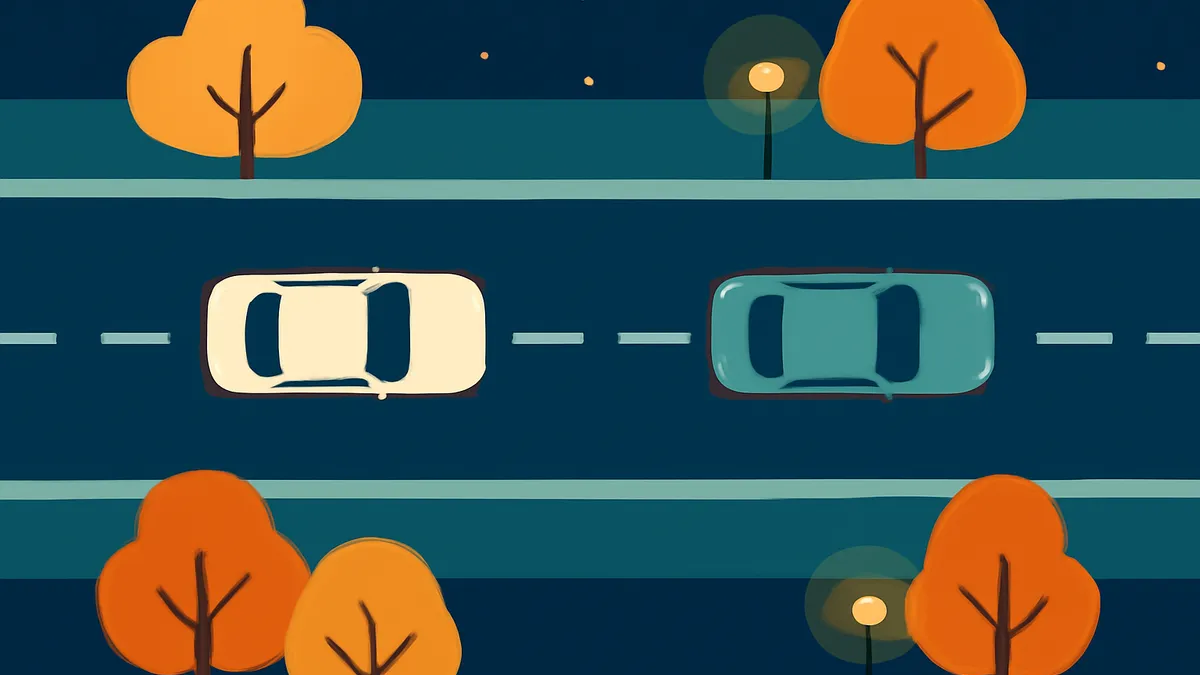 Two cars on a dark road at night, with trees and streetlights on either side, viewed from above